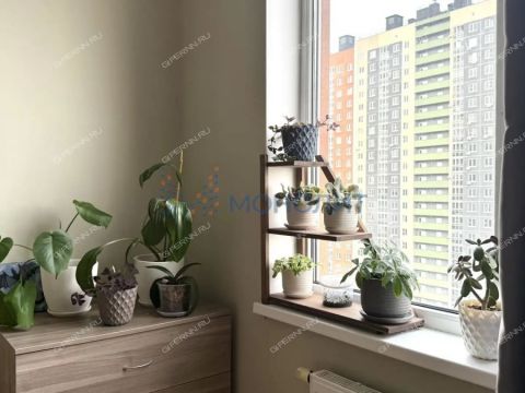 2-komnatnaya-derevnya-ankudinovka-kstovskiy-rayon фото