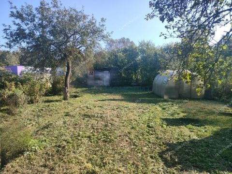dacha-snt-sokol-sad-n1-snt-sokol-n1 фото