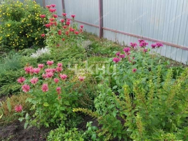 земельный участок 8 соток Пойменная деревня Пальцино
