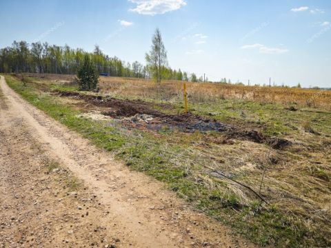 selo-shava-kstovskiy-rayon фото