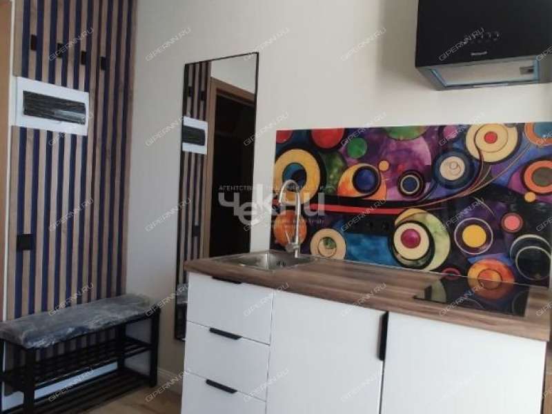 квартира-студия на Алексеевской улице дом 24/27