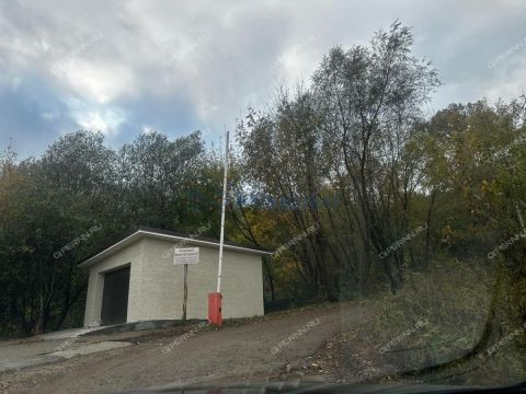 derevnya-afonino-kstovskiy-rayon фото