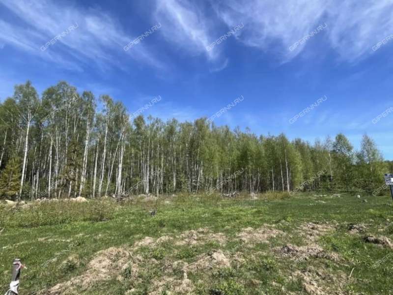 земельный участок под сельхоз назначение в Городецком районе Нижегородской области