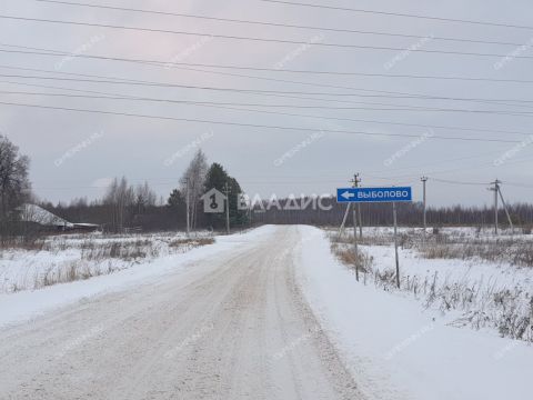 derevnya-vybolovo-bogorodskiy-municipalnyy-okrug фото