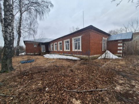 selo-arapovo-bogorodskiy-municipalnyy-okrug фото