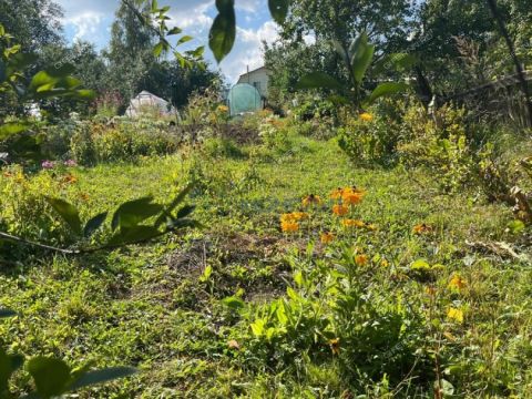 novinskiy-selsovet фото