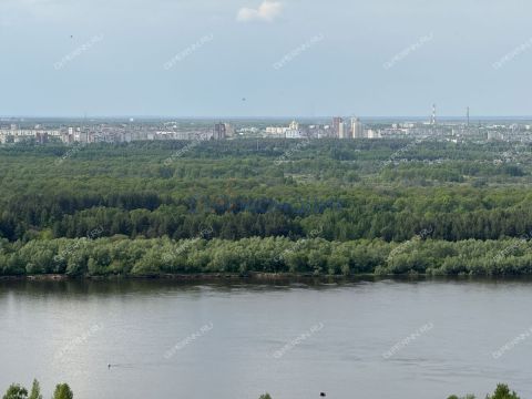dom-derevnya-habarskoe-bogorodskiy-municipalnyy-okrug фото