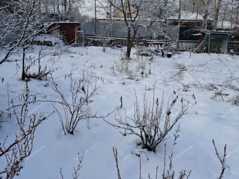 dacha-rabochiy-poselok-bolshoe-kozino-balahninskiy-municipalnyy-okrug фото