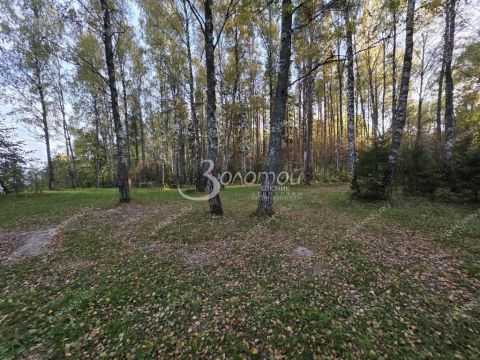 selo-katunki-gorodskoy-okrug-chkalovsk фото