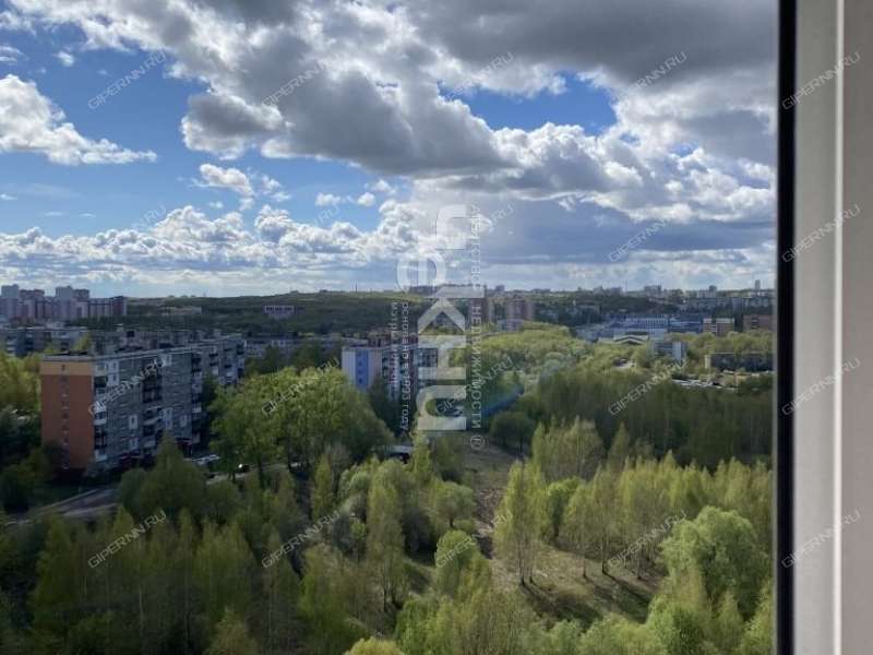 квартира-студия на улице Германа Лопатина дом 8