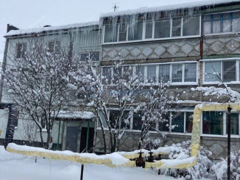 1-komnatnaya-derevnya-berezovka-bogorodskiy-municipalnyy-okrug фото