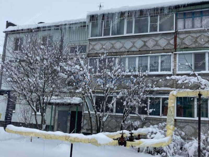 однокомнатная квартира на Комсомольской улице дом 17 деревня Берёзовка