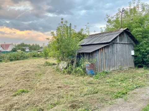 dacha-rabochiy-poselok-gidrotorf-balahninskiy-municipalnyy-okrug фото