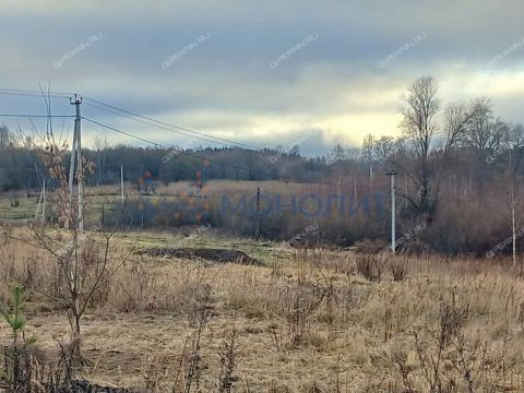 derevnya-hmelevaya-polyana-dalnekonstantinovskiy-rayon фото