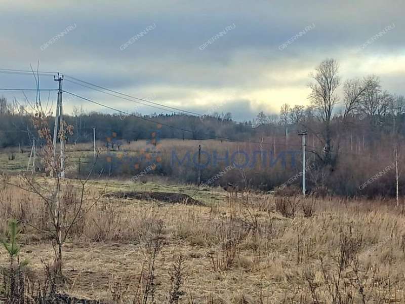 земельный участок 619 соток - деревня Хмелевая Поляна