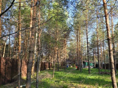 dom-derevnya-aleksandrovka-dalnekonstantinovskiy-rayon фото