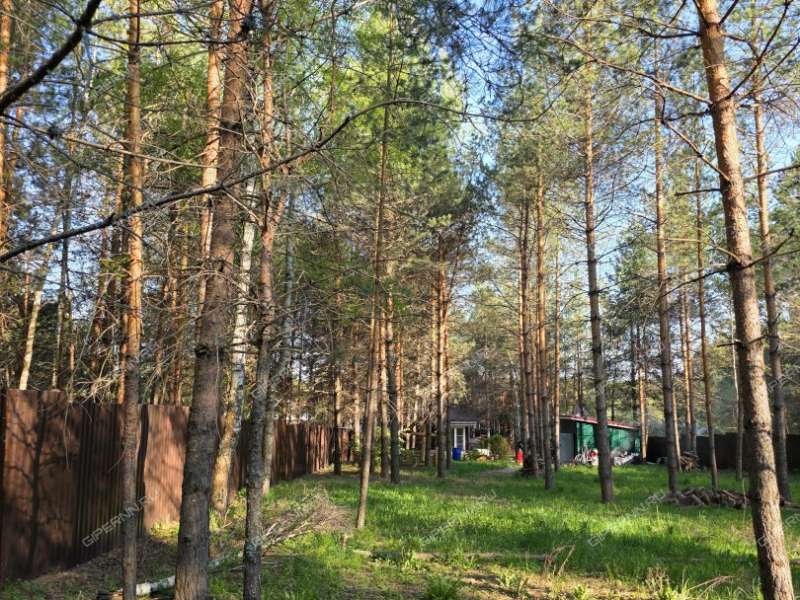 дом на улице Лесная деревня Александровка