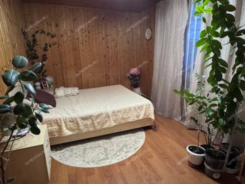 derevnya-demidovo-bogorodskiy-municipalnyy-okrug фото