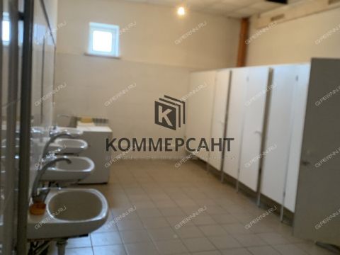 derevnya-novolikeevo-kstovskiy-rayon фото