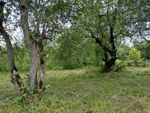 dom-derevnya-shamshilovo-pavlovskiy-municipalnyy-okrug фото