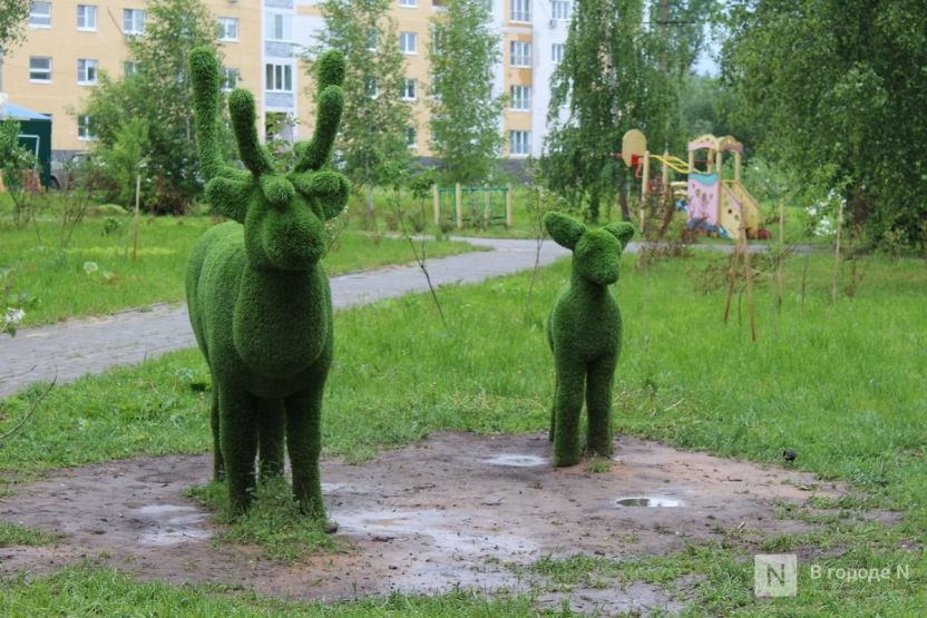Фото: Надя Кей / ИА «В городе N»
