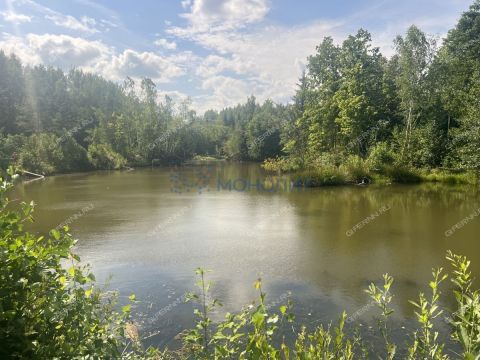 sad-derevnya-shoniha-bogorodskiy-municipalnyy-okrug фото