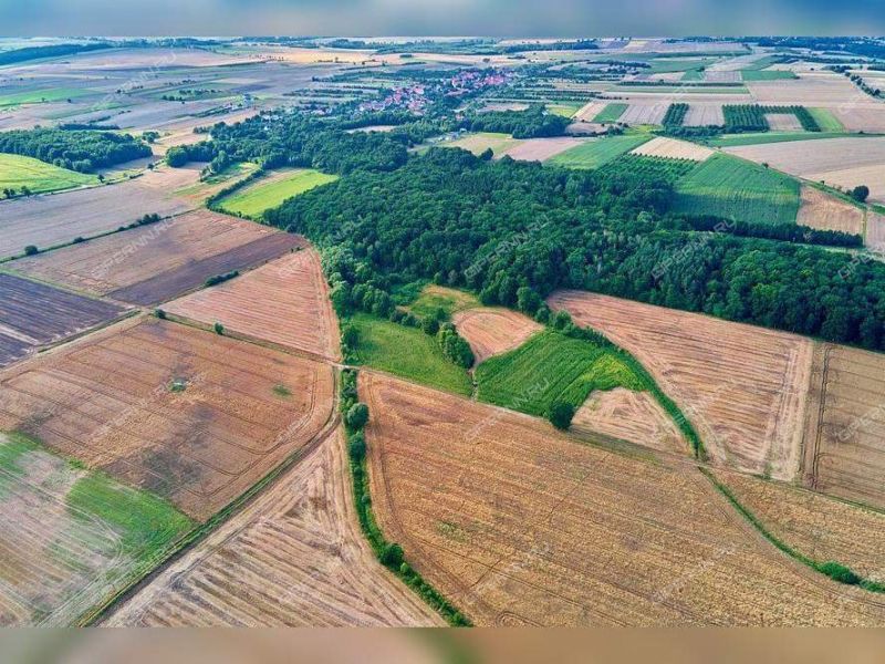 земельный участок под сельхоз назначение в Лысковском районе Нижегородской области