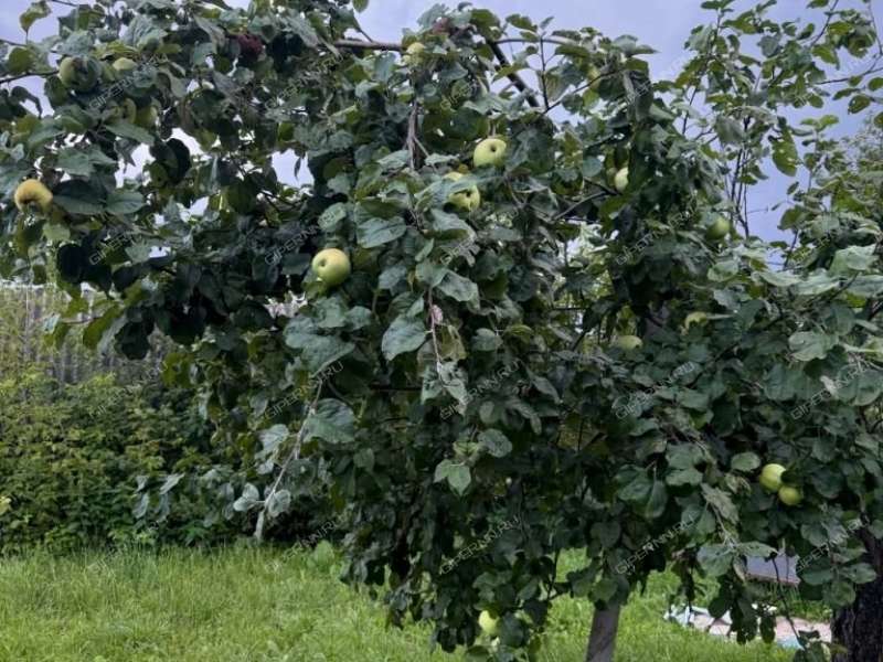 дом на улице Приволжская село Михайловское