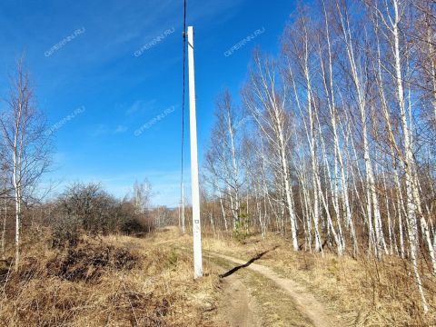 derevnya-novolikeevo-kstovskiy-rayon фото