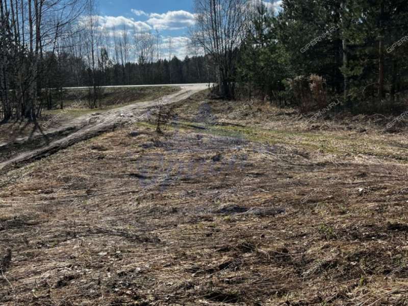земельный участок 10 соток деревня Ломки