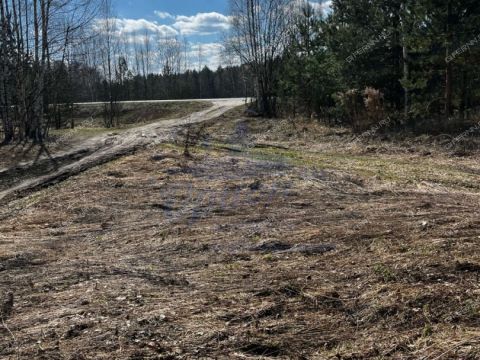 derevnya-lomki-gorodeckiy-rayon фото