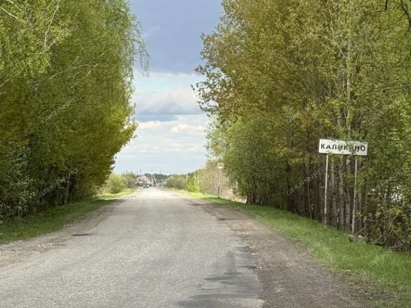 земельный участок 8 соток Михаила Солянинова деревня Каликино