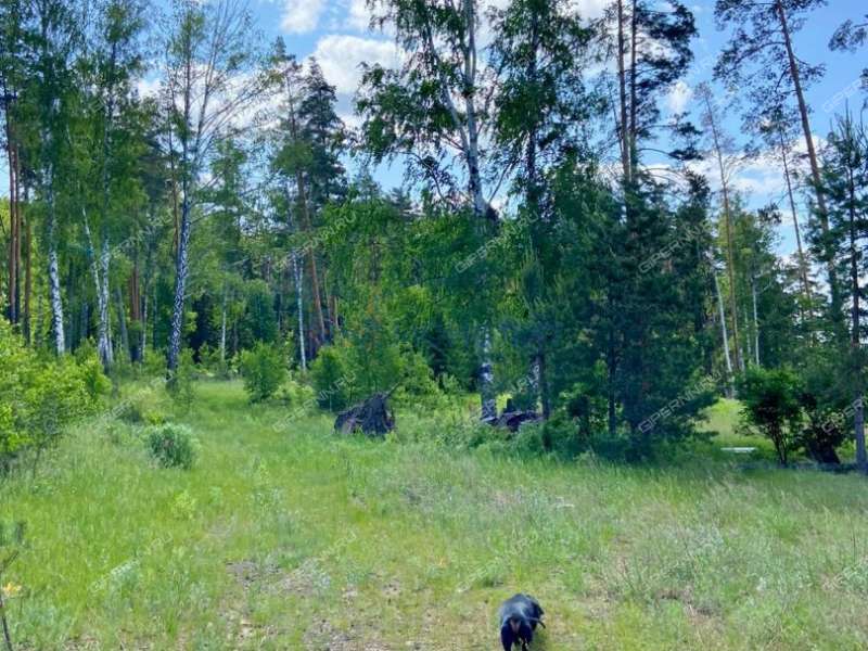 земельный участок 20 соток - деревня Фалино-Пестово