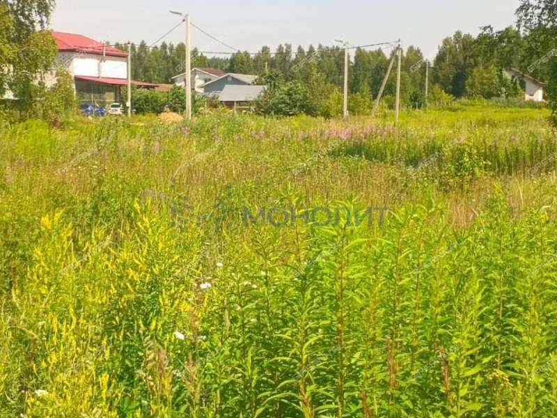 земельный участок 10 соток ДНП Возрождение деревня Золотово