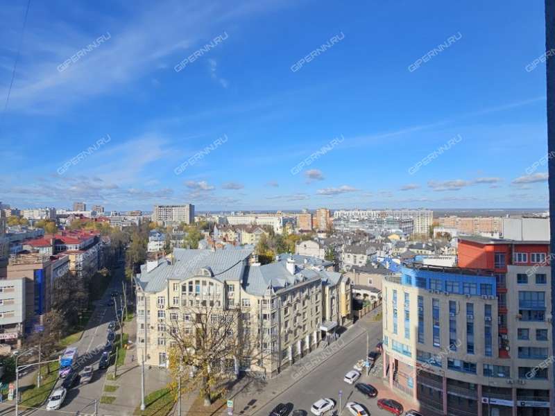 трёхкомнатная квартира на улице Белинского дом 11