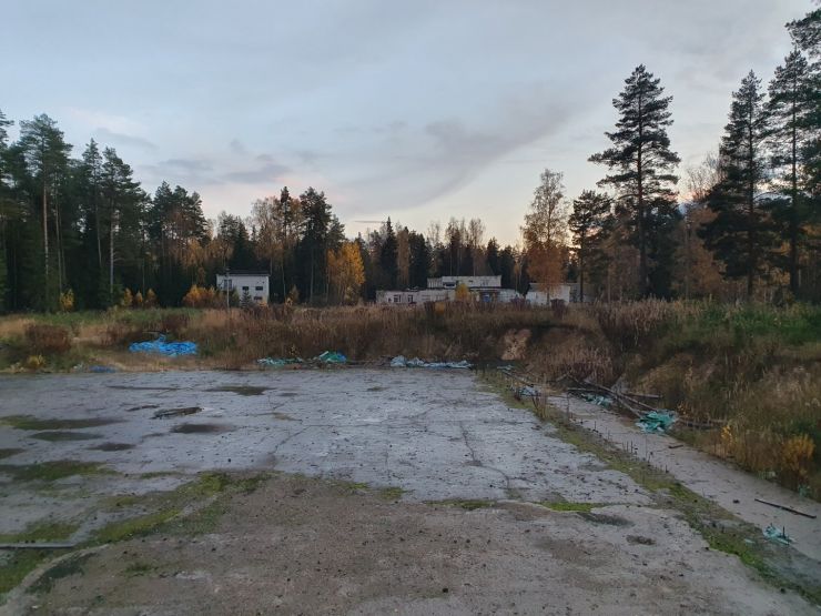 Фото: Ксения Ражева