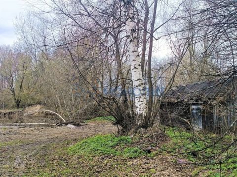 dom-derevnya-dolgovo-gorodskoy-okrug-bor фото