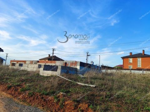 derevnya-malaya-elnya-kstovskiy-rayon фото