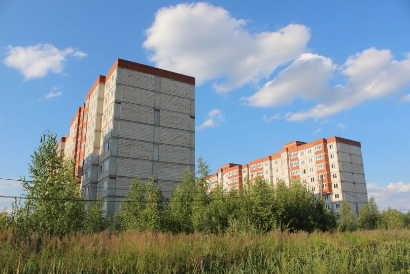 Фото: Ксения Ражева / gipernn.ru