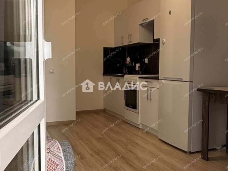 однокомнатная квартира на Русской улице улице дом 19 деревня Анкудиновка