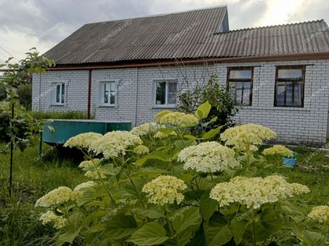 poselok-zheleznodorozhnyy-gorodskoy-okrug-bor фото