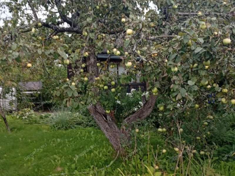 дача на Восход N2 тер. садовое неком-е товарищество город Бор