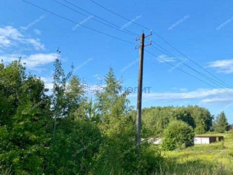 derevnya-savelovo-bogorodskiy-municipalnyy-okrug фото