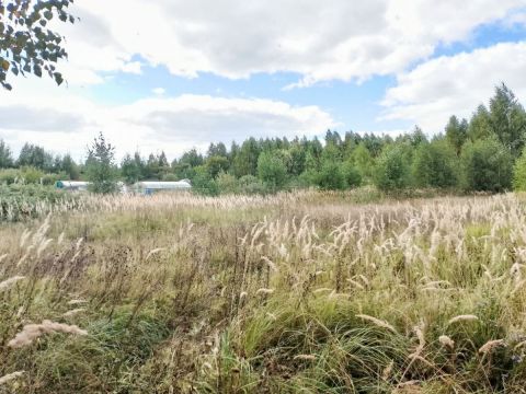 derevnya-tamboles-gorodskoy-okrug-vyksa фото