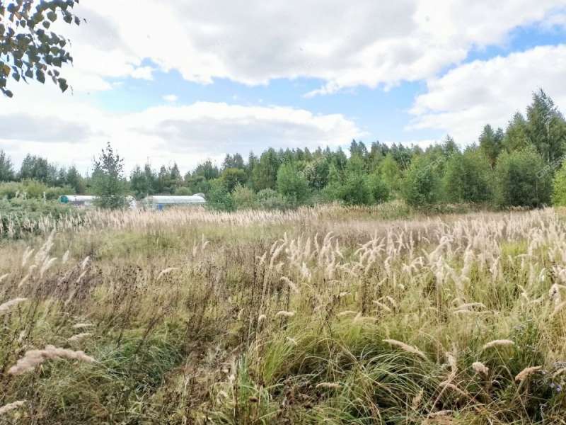 земельный участок 16 соток улица Ленина деревня Тамболес