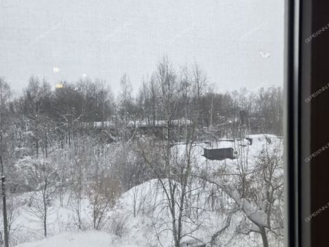 1-komnatnaya-ul-40-let-pobedy-d-10 фото