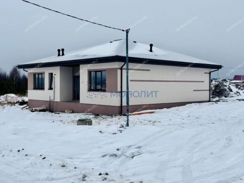 dom-derevnya-berezovka-bogorodskiy-municipalnyy-okrug фото