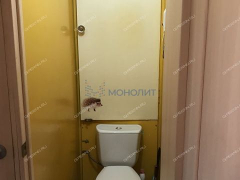 2-komnatnaya-ul-melnikova-pecherskogo-d-9 фото