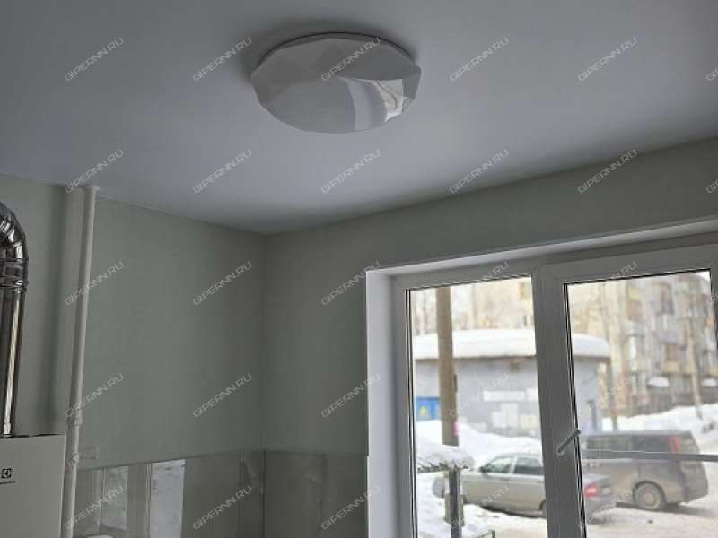 двухкомнатная квартира на проспекте Ленина дом 65 к1