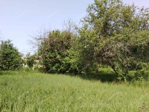gorod-balahna-balahninskiy-municipalnyy-okrug фото